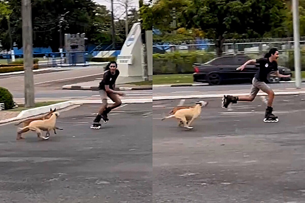 Jovem Se Vinga Ap S Ser Perseguido Por Tropa Do Vira Lata Caramelo