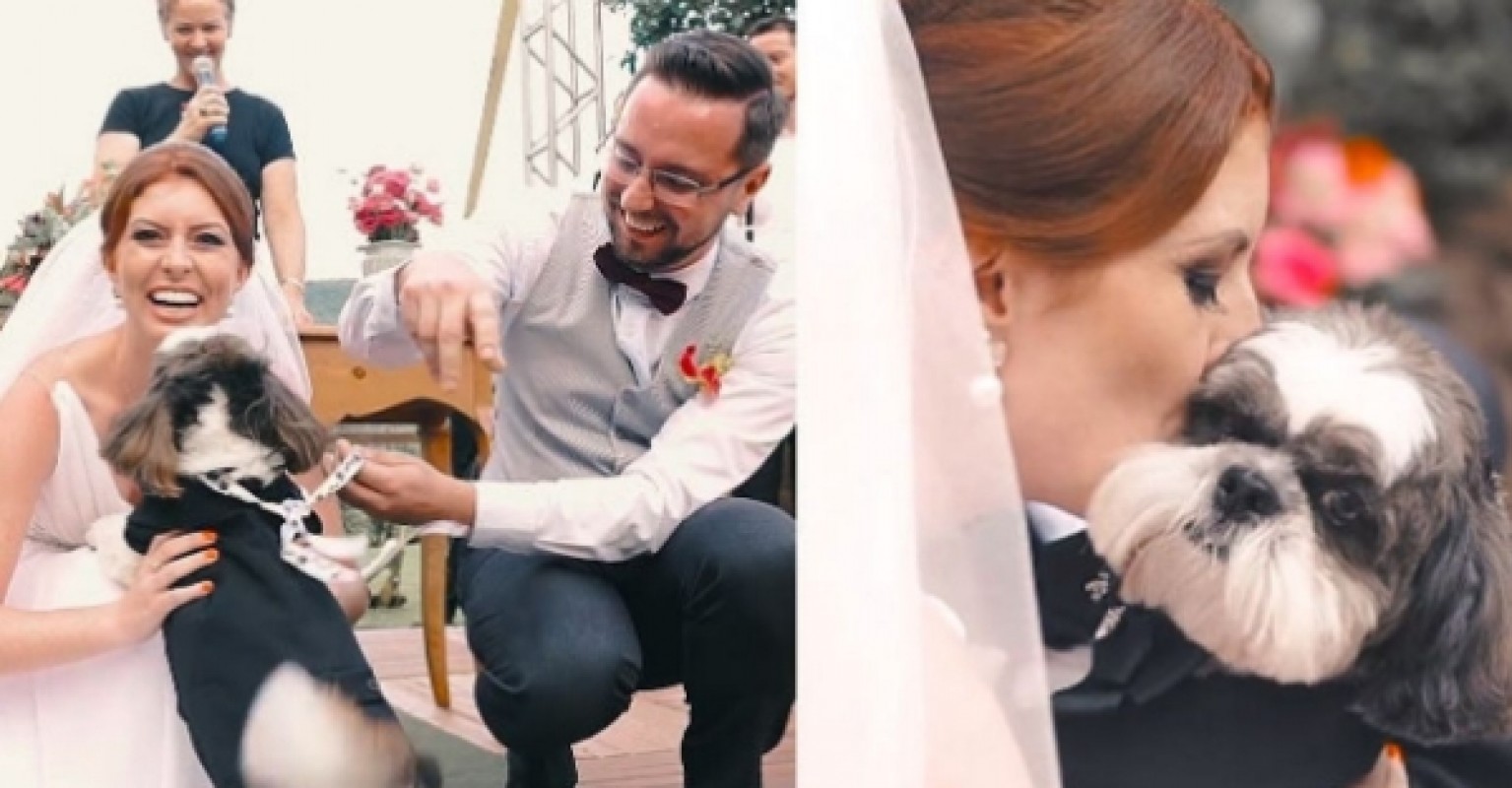 Cachorro Rouba A Cena Em Casamento E Emociona Convidados No Rs