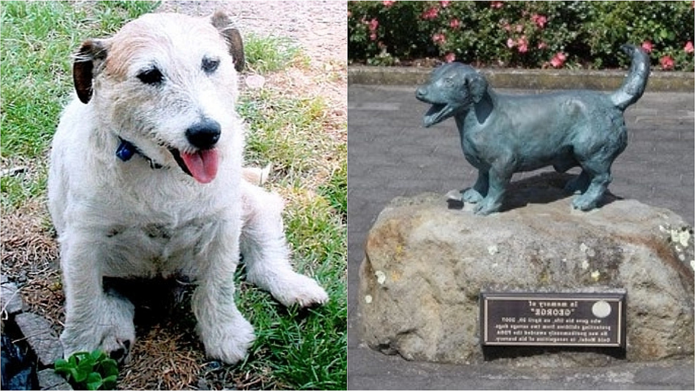 George, o cachorro que ganhou uma estátua por ter salvo crianças