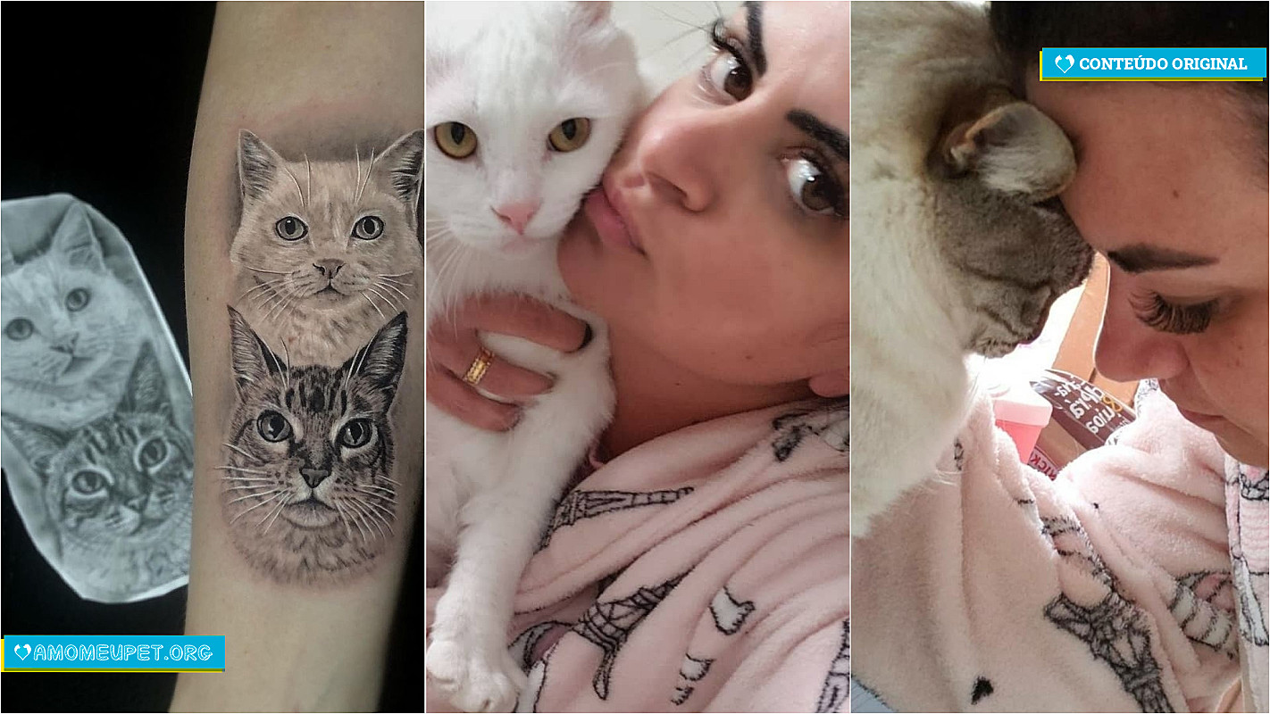 Dicas de tatuagem para apaixonados por gatos