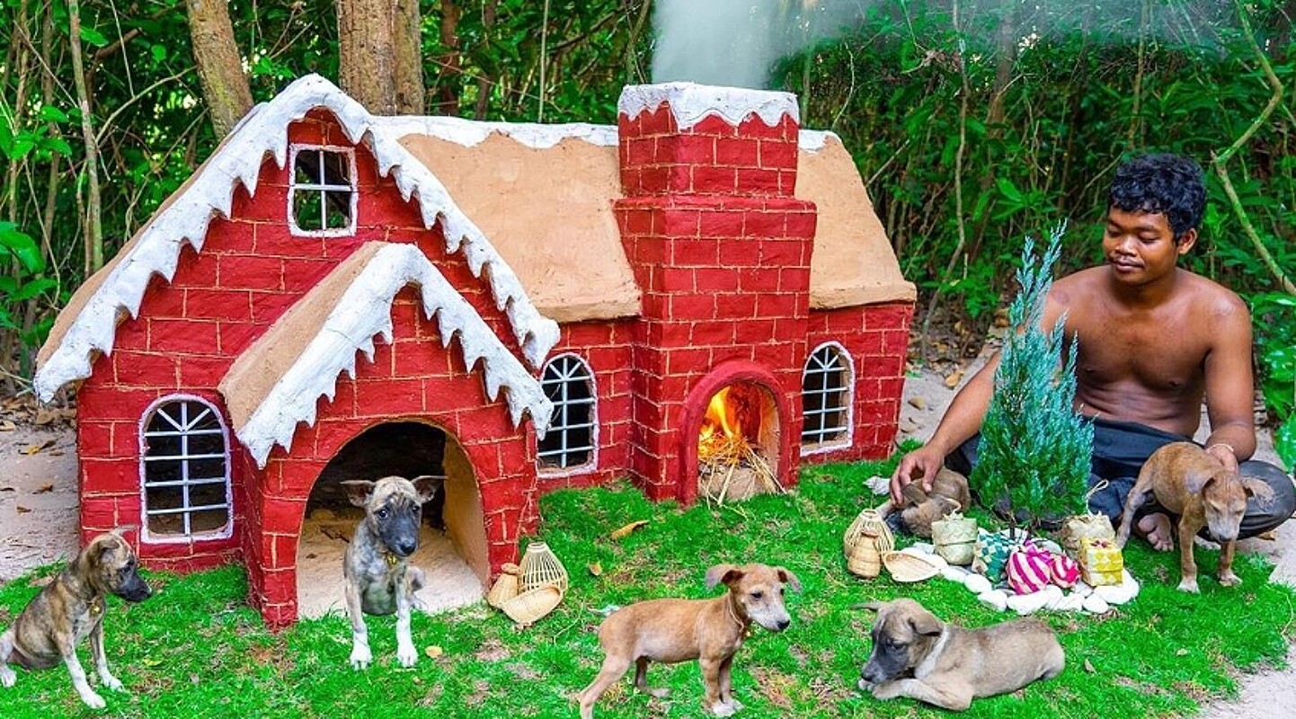Jovem constrói casinhas impressionantes para cães e vídeo bate mais de 800  milhões de views, image size:1442x800