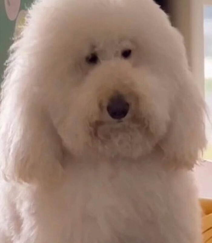 0x800_1667424903_6362e28716093