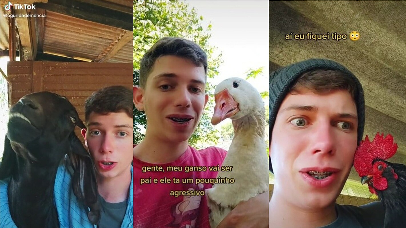 Jovem e seus bichos da fazenda viralizam na web com vídeos de humor; assista