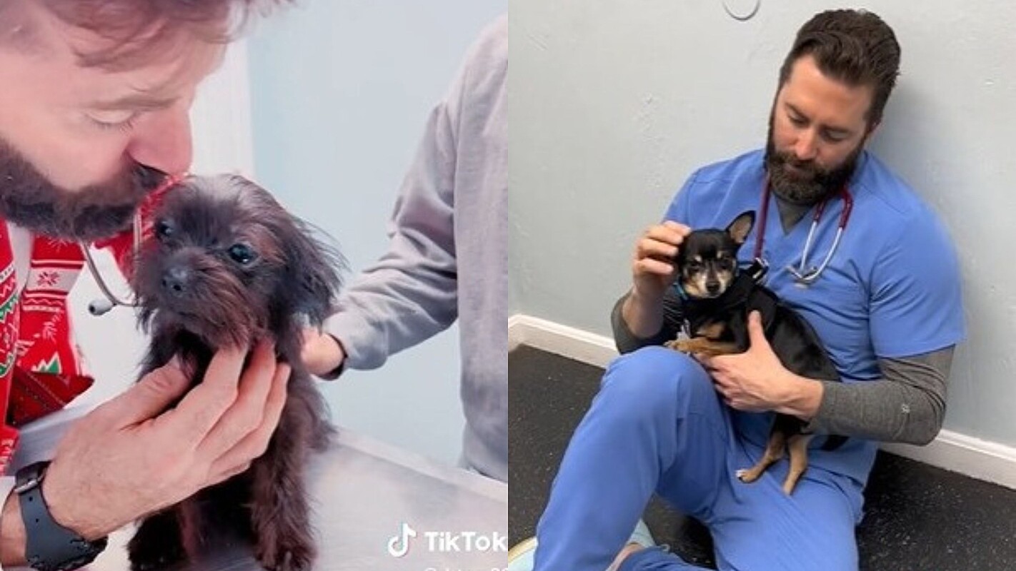 Conheça Thomas Hamilton, veterinário que encanta web ao mostrar como