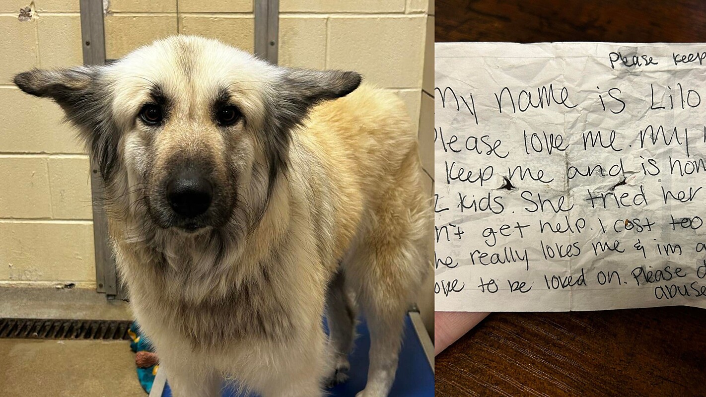 He found the dog wandering around alone with a heartbreaking note
