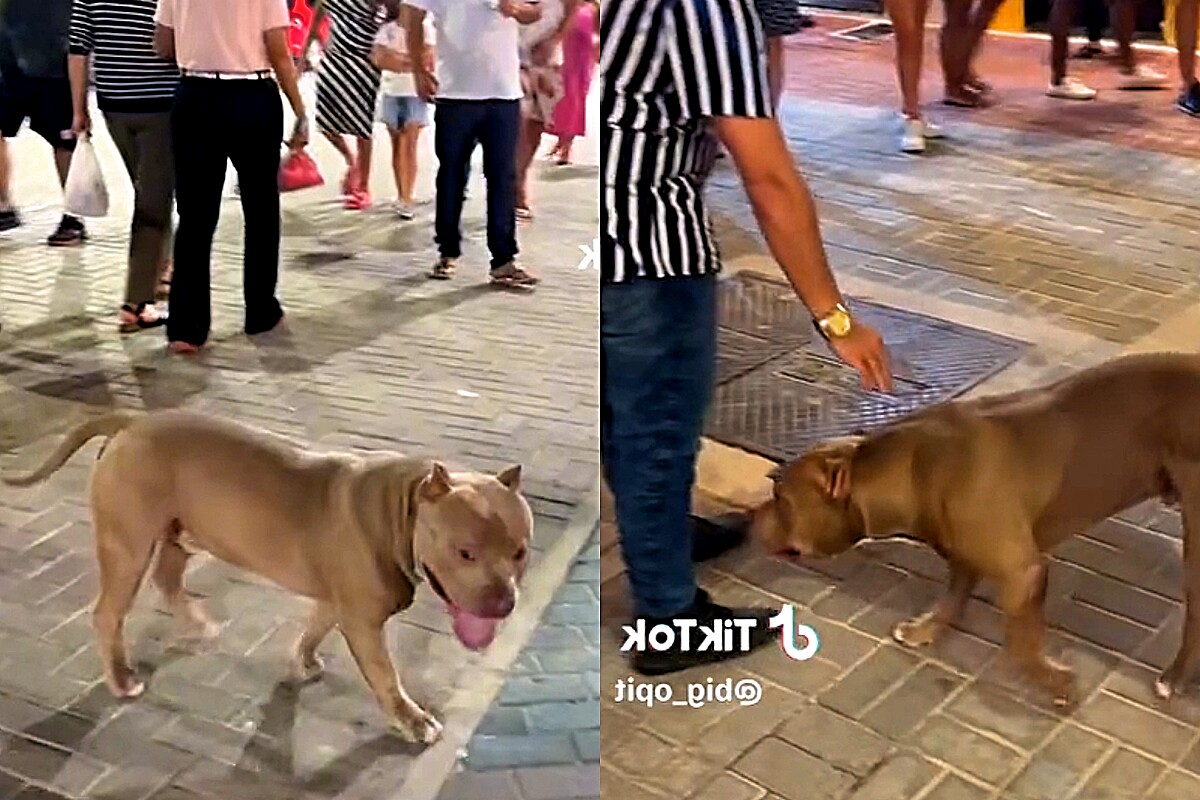 0x800_1690814468_64c7c80459f9c