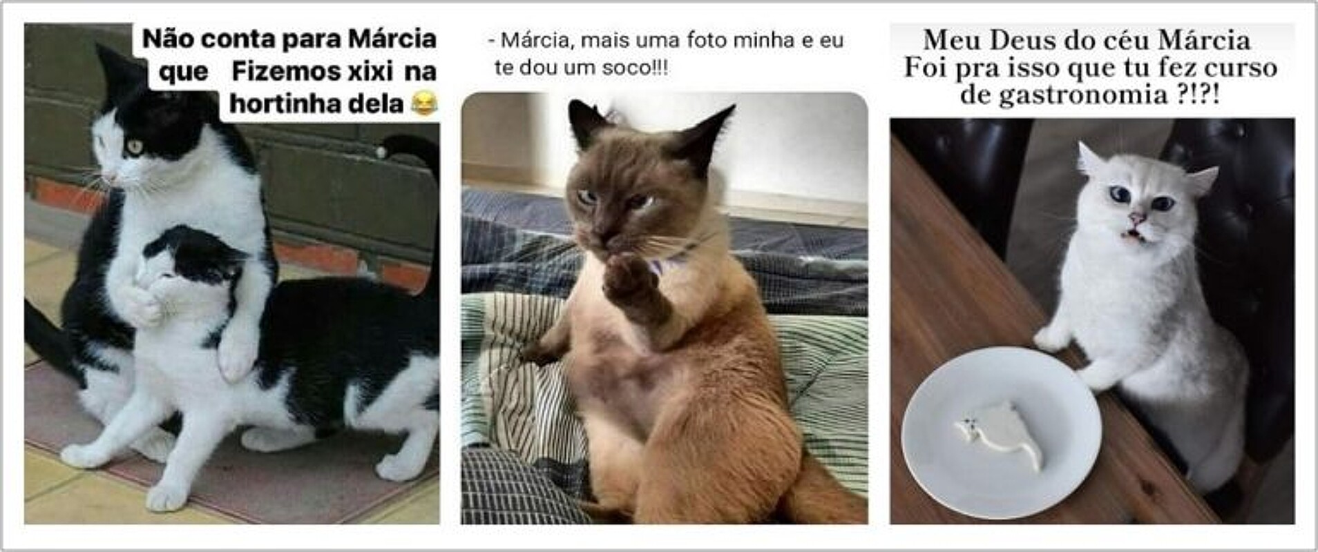 Dois tontos - Meme by CatolicoMeme :) Memedroid, image size:1908x800