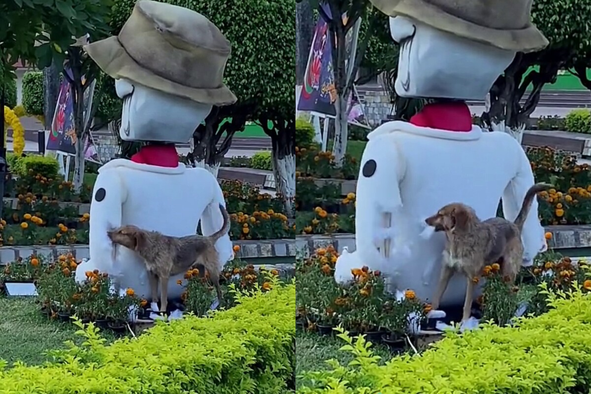 Cachorro Caramel es visto “repintando” el muñeco en una plaza pública en México
