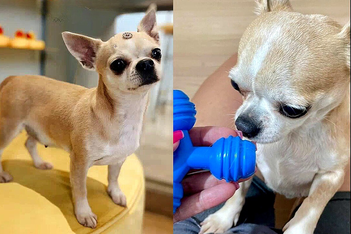 CARTAZ NÚMERO DO DIA - Loja a arte de ensinar e aprender, image size:1200x800