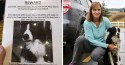 Mulher larga o emprego e passa 57 dias procurando cachorro desaparecido até o encontrar