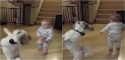 Foto: Reprodução / Rumble Bebê aprende a rodopiar enquanto cachorro era treinado pelo pai.