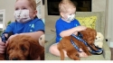 Menino ganha um filhote de cachorro, após superar câncer. (Foto: Reprodução/Fox 8)
