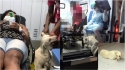 Cachorro leal acompanha dona com covid-19 em ambulância e a espera em porta de hospital (Foto: Reprodução Instagram / enf.vanessaguiar)