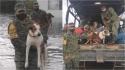 Casas foram destruídas e muitos animais morreram por não conseguirem escapar da enchente. (Foto: Facebook/Caninos 911, A.C.)