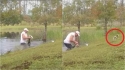 Homem é filmado lutando com crocodilo em lago para salvar a vida do seu cãozinho que estava sendo atacado. (Foto: Reprodução TikTok/@wingwomanme)