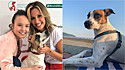 Luisa Mell desabafa sobre polêmica envolvendo cão vira-lata de Larissa Manoela; atriz rebate críticas. (Foto: Instagram/luisamell | Instagram/dogsdalarimanoela) 