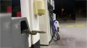 Clientes são surpreendidos com cobra tapete píton em posto de gasolina na Austrália. (Foto: Reddit/ T_Raite)