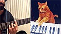 Gato ruivo realiza dueto com o dono tocando piano e viraliza no TikTok. (Foto: Reprodução/TikTok)