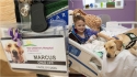 Hospital contrata cãoterapeuta para oferecer apoio e carinho a crianças internadas. (Foto: Childrens Hospital of San Antonio)