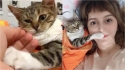 Gatinha que teve uma das patas amputadas agarra mão de veterinária e é adotada pela profissional. (Foto: Instagram/zikrettinn)