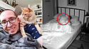 Tutor instala câmera no quarto para flagrar as bizarrices que seu gato faz durante a noite.