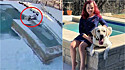 Ao perceber que seu cão estava se afogando na piscina na cidade de Leander, no Texas (EUA), a menina corre para socorrê-lo.