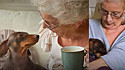 Idosa de 84 anos é a melhor amiga de cadelinha salsichinha.