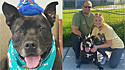 Pit bull que vivia em abrigo há quase dois anos, em Los Angeles, Califórnia (EUA) é adotado por família amorosa. 
