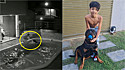 Menino salva cão rottweiler de 70 kg que caiu em piscina: É um amigão para mim.