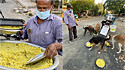 Homem cria projeto e alimenta 150 cães de ruas todos os dias.