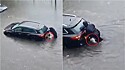 Springer spaniel ajuda dona a empurrar carro em meio a enchente na Escócia.