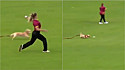 Cachorro invade partida de críquete feminino na Irlanda para roubar a bola.