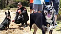 Ruby é a primeira cachorra de abrigo a entrar na Unidade K9 da Polícia Estadual de Rhode Island, nos Estados Unidos.