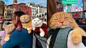 Os três gatinhos vivem suas melhores vidas conhecendo diversas cidades.