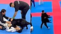 Cão invade arena para separar briga de lutares de jiu-jítsu durante campeonato e sai escoltado por árbitro.