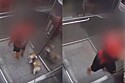 Menino de 11 anos salva cachorrinha shih-tzu após ficar presa pela coleira em porta de elevador.