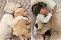 Cão da raça golden retriever e bebê se apaixonam pelo mesmo brinquedo e internautas ficam apaixonados pela interação deles.