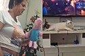 Tutora pede ajuda ao George Pig para impedir gatos de destruírem a árvore de Natal.