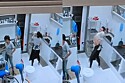 Pet shop instala câmera escondida em banho e tosa e flagra cena fofa de colaboradora