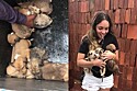 Todos foram adotados em menos de 24 horas.