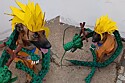 Conheça Thor, o cachorro que faz os melhores cosplays de personagens de anime