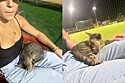 Gatinho de rua se aproxima de mulher em jogo de beisebol e adormece em seu colo