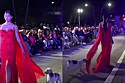 Cachorro invade desfile de moda para fazer teste de qualidade em vestido.