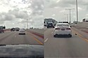 Casal vê pequeno ponto preto no meio da estrada movimentada, percebe ser um animal em apuros e decide ajudar.