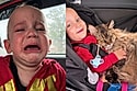 “A ligação deles é coisa de outro mundo”: Bebê não para de chorar no carro até receber sua melhor amiga no colo