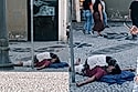 Cão chama atenção por proteger tutor enquanto dorme