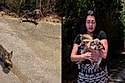 Cachorro e gato estavam se uniram para se salvar
