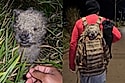Durante trilha a noite, rapaz encontra cachorrinho em estado deplorável e resolve levá-lo pra casa dentro de mochila: ‘parece um chaveirinho’.