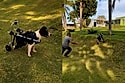 “Sem limite de velocidade”: cachorrinha ganha cadeirinha e sai correndo como se nada pudesse pará-la.