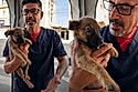 Filhotinho de olhar triste que viu toda sua família ser adotada e só sobrar ele recebe a notícia que tanto esperava.